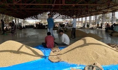 Photo courtesy : patrika