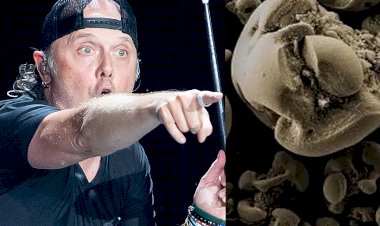 photo courtesy : hd-radio.net 