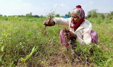 Photo Courtesy : reuters
