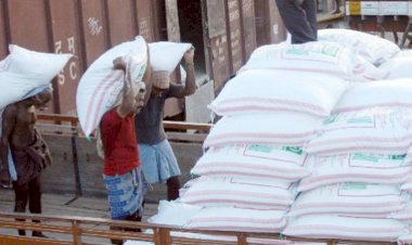 प्रतीकात्मक तस्वीर