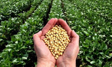 photo courtesy : financial tribune