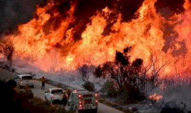 photo courtesy : pbs.org 