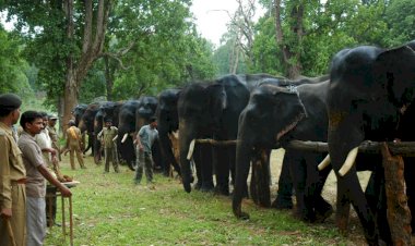 photo courtesy : dna