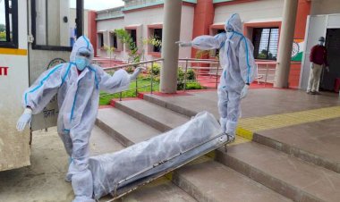 photo courtesy :  patika