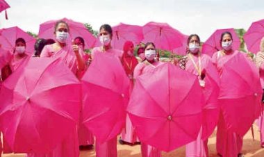 photo courtesy : bangalore mirrior