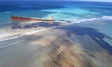 Pic: Deccan Chronicle