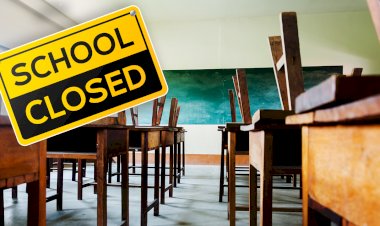 photo courtesy : fox business network 