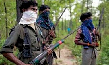 photo courtesy : patrika