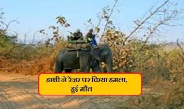 photo courtesy : bansal news photo courtesy : bansal news