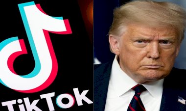Pick: France 24 Pick: France 24