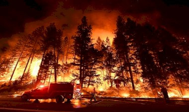 Photo Courtesy: Laist 