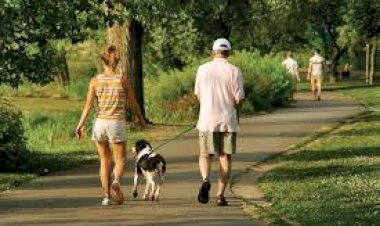 Photo Courtesy: boomer cafe