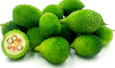 Photo Courtesy: chaltapurza