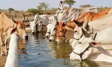 Photo Courtsey : Hindustan Times