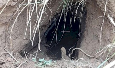 Photo Courtsey : Scroll.in