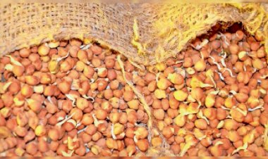 Photo Courtesy: Bhaskar