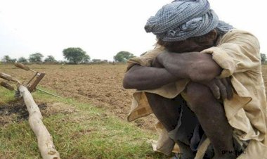 Photo Courtsey: patrika 