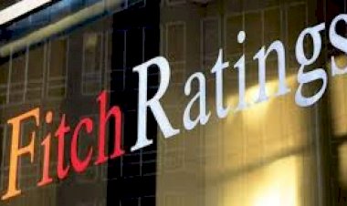 Photo Courtesy: Freepick 