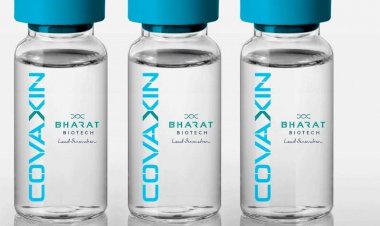 Photo Courtsey: Zoom News