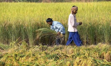 Photo Courtesy: Dnaindia  Photo Courtesy: Dnaindia