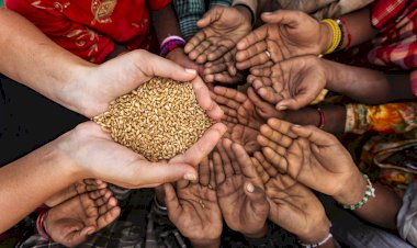 Photo Courtsey: The Indepedent  Photo Courtsey: The Indepedent