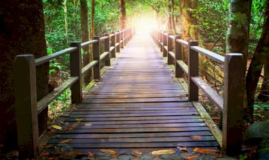 Photo Courtesy: rinutritiontherapy