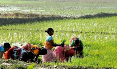 Photo Courtesy: The Wire  