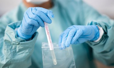 Photo Courtesy: Science