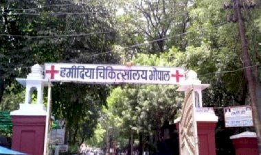 Photo Courtesy : Just Dial  Photo Courtesy : Just Dial