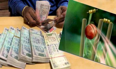 Photo Courtesy : Patrika  Photo Courtesy : Patrika