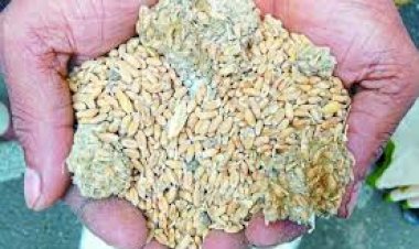 Photo Courtsey: Granthshala.com Photo Courtsey: Granthshala.com