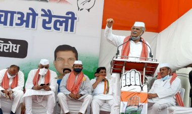 Photo Courtesy: Google Photo Courtesy: Google