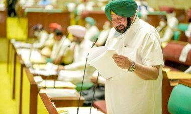 Photo Courtesy: The Tribune