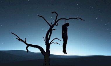 Photo Courtesy: Ground Reality