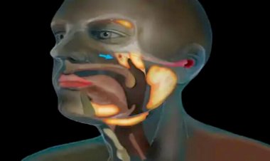 Photo Courtesy: News Track