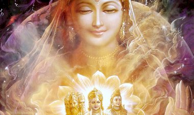 Photo Courtesy:  Julian Jay Roux