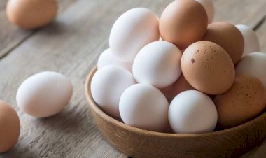 Photo Courtesy: Navbharat times