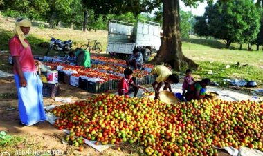 Photo Courtesy: Patrika.com