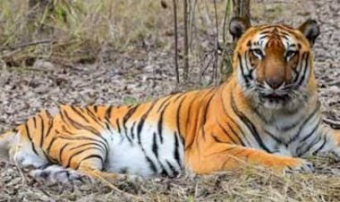 Photo Courtesy: HT Photo Courtesy: HT