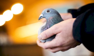 Photo Courtesy : Aaj Tak Photo Courtesy : Aaj Tak