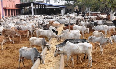 Photo Courtesy: Ichowk