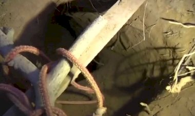 Photo Courtesy: Bhaskar