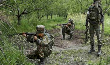 Photo Courtesy: Nation One