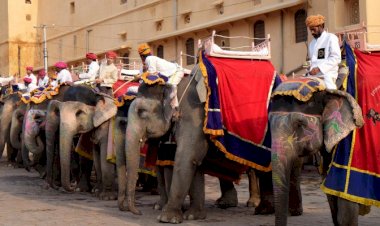 Photo Courtesy : South China Morning Post 