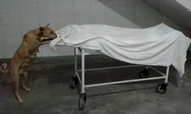 Photo Courtesy: social media