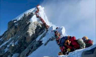 Photo Courtesy : The Lancet  Photo Courtesy : The Lancet