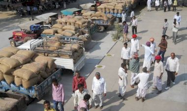 Photo Courtesy: Patrika  Photo Courtesy: Patrika