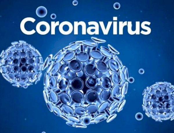 corona virus 