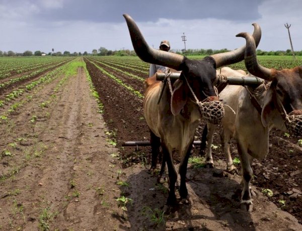 farmers in distress 