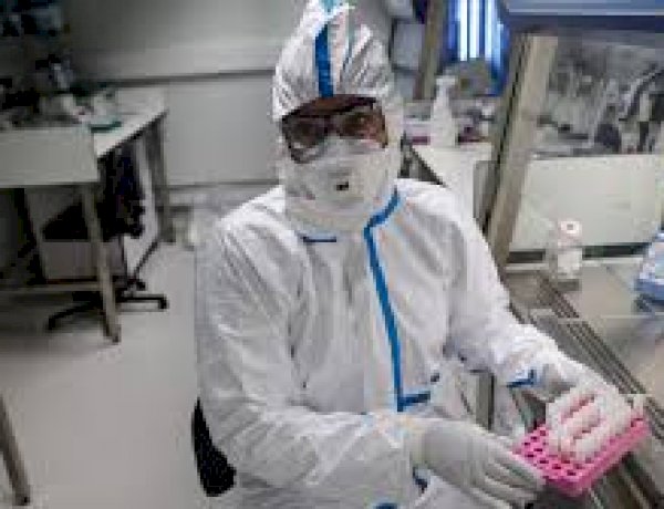 corona test lab file pic corona test lab file pic
